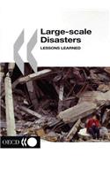 Large-scale Disasters: Lessons Learned