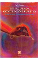 Inmaculada Concepcin Furtiva