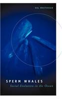 Sperm Whales