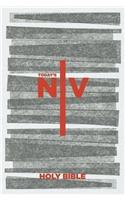 Today's NIV Popular Bible with Helps and Bible Guide, Cross Edition