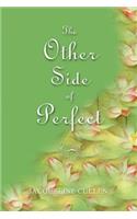 The Other Side of Perfect