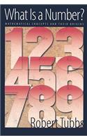 What Is a Number?
