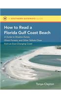 How to Read a Florida Gulf Coast Beach