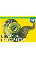 Pests & Parasites