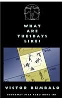 What Are Tuesdays Like?: (English)