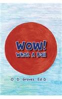 WOW! What a Ball