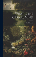 What is the Carnal Mind