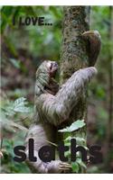I Love Sloths