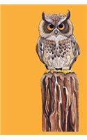 Hunting Owl - 2019 & 2020 Mid Year Academic Journal With Mind Maps, Budget Planner, Goal Setting & Inspirational Quotes