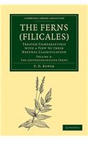 Ferns (Filicales)