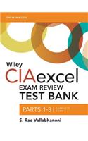 Wiley Ciaexcel Exam Review 2018 Test Bank