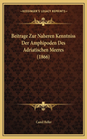 Beitrage Zur Naheren Kenntniss Der Amphipoden Des Adriatischen Meeres (1866)