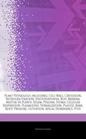 Articles on Plant Physiology, Including: Cell Wall, Cavitation, Nitrogen Fixation, Photosynthesis, Bud, Mineral Matter in Plants, Xylem, Phloem, Stoma, Cellular Respiration, Plasmolysis, Ve