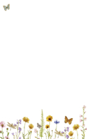 Wildflower Garden Boxed Stationery (Boxed Stationery)