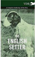 The English Setter - A Complete Anthology of the Dog: (English)