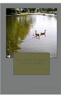 Tales of the Dragonfly