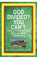 God Divided? You Can't.: Trinity: A Blasphemy of God. a Kingdom Divided, Falls Not Stand.