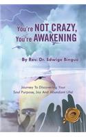 You're Not Crazy, You're Awakening: Journey To Discovering Your Soul Purpose, Joy And Abundant Life!