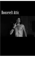 Roosevelt Attic