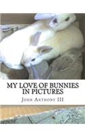 My Love of Bunnies