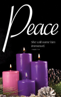 Peace Advent Candle Sunday 4 Bulletin (Pkg of 50)