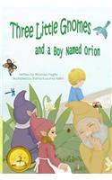 Three Little Gnomes and a Boy Named Orion