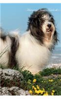 Havanese June Notebook Havanese Record, Log, Diary, Special Memories, To Do List, Academic Notepad, Scrapbook & More