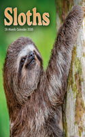 2026 Sloths Mini Wall Calendar