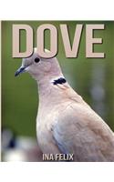 Dove: Children Book of Fun Facts & Amazing Photos on Animals in Nature - A Wonderful Dove Book for Kids aged 3-7