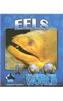 Eels