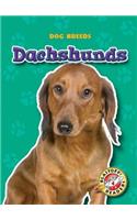 Dachshunds