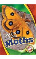 Moths