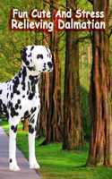 Funny cute and stress relieving dalmatian