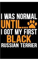 I Was Normal Until I Got My First Black Russian Terrier