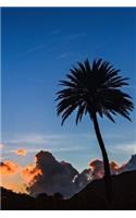 Palm Tree Notebook
