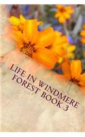 Life In Windmere Forest book 3: (3 Many Changes in Fox Ridge)
