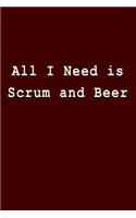 All I Need Is Scrum and Beer