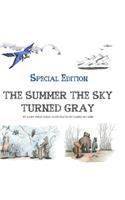 Summer the Sky Turned Gray