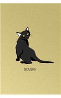 Bombay Cat