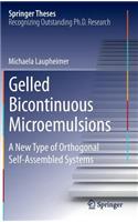 Gelled Bicontinuous Microemulsions: A New Type of Orthogonal Self-Assembled Systems(Springer Theses)