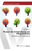 Phasen der Entwicklung von Pflegefamilien