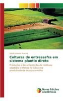 Culturas de entressafra em sistema plantio direto
