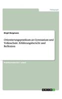 Orientierungspratikum an Gymnasium und Volksschule. Erfahrungsbericht und Reflexion