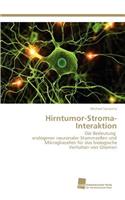 Hirntumor-Stroma-Interaktion