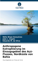 Anthropogene Eutrophierung im Einzugsgebiet des Açú-Flusses, Nordküste von Bahia