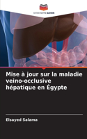 Mise à jour sur la maladie veino-occlusive hépatique en Égypte