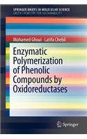 Enzymatic polymerization of phenolic compounds by oxidoreductases