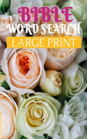 Bible Word: Search (Large Print)