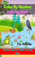 Color By Number Coloring Book For Adults