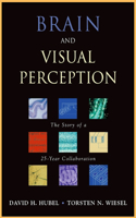 Brain and Visual Perception